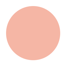 peach circle icon 1